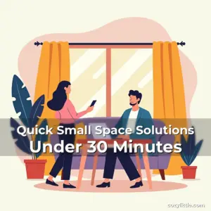 Artistic representation for Quick Small Space Solutions Under 30 Minutes