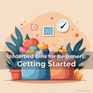 Artistic representation for Underbed Bins for Beginners: Getting Started